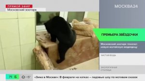 Новости Москвы: столичный зоопарк показал малайскую медведицу Звездочку