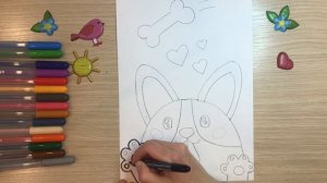Собака корги. Рисунок собаки для детей. Корги рисунок. Как нарисовать корги. Как рисовать собаку.