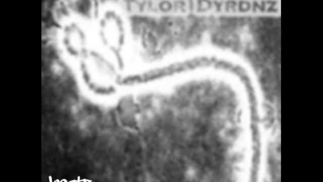 02. BBF#002 - Tylor Dyrdnz смотреть онлайн