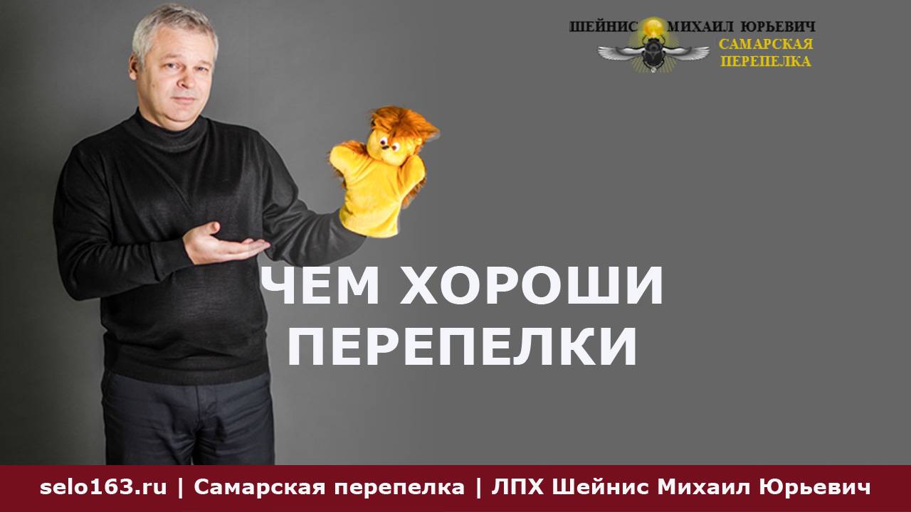 Чем хороши перепелки