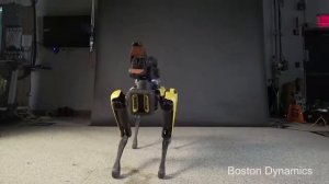 собака робот Boston Dynamics может танцевать