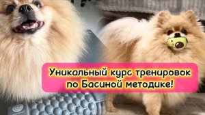 Уникальный курс тренировок по Басиной методике!