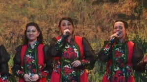 АНСАМБЛЬ ПЕСНИ ГАЛИНЫ БАЛАШОВОЙ - «ПОГЛЯДИ КАКАЯ КРАСОТА» Арт-фест "Песни мира"