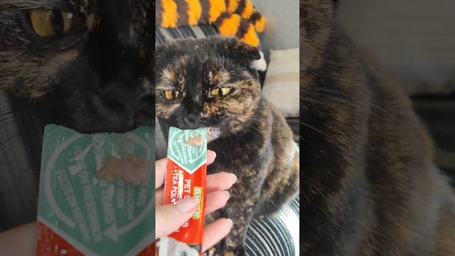 Луна с Нюшей угощаютсЯ
