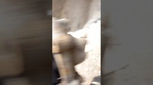 Замена передних тормозных колодок , от Чери Фора А21 , на Чери Бонус А13...обзор...