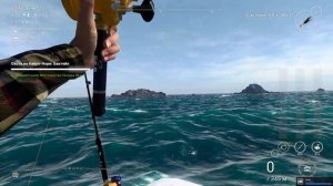 Охота на кайро-нори: бактейл уникальная жёлтохвостая лакерда