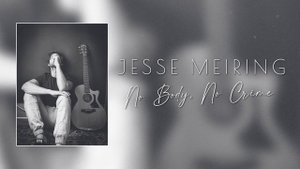 NO BODY, NO CRIME - Taylor Swift ft. HAIM | Acoustic by Jesse Meiring
