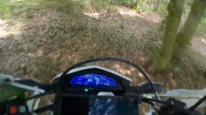 Lifan KPX 250 Lost in a Jersey Swamp.