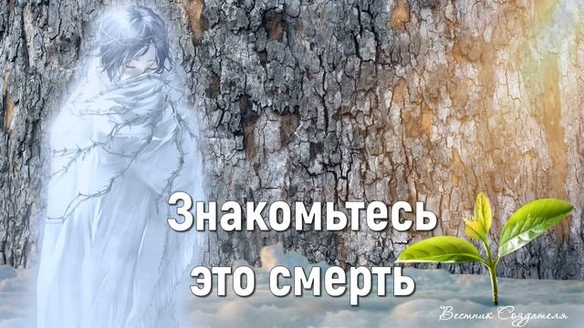 Знакомьтесь это смерть