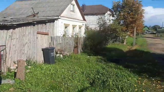 Поможем дружно смотреть онлайн