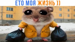 ЕТО НЕ МЕМ... ЕТО МОЯ ЖИЗНЬ! ))) | Приколы | Мемозг 1551