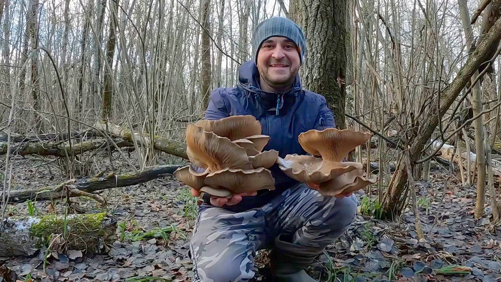 ЛЕС ЗАРОС ГРИБАМИ В ЯНВАРЕ!!! Зимний сбор грибов