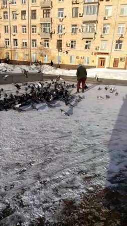 так хочется жить