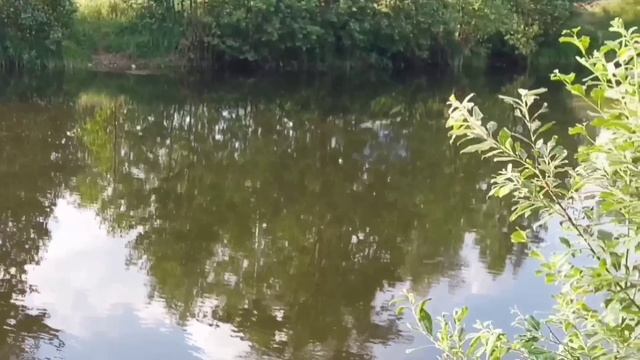 УСПЕШНЫЕ ГОЛОДНЫЕ ВОНЮЧКИ. ПИРАТСКАЯ ЖИЗНЬ. ОБЗОР. смотреть онлайн