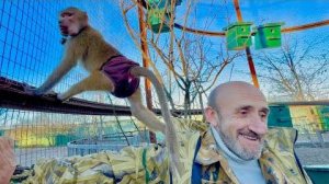 Любимая курочка просто сидит у папы Влада на голове и в прямом и в переносном смысле)))