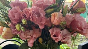 Эустома . Можно вырастить , а можно купить .