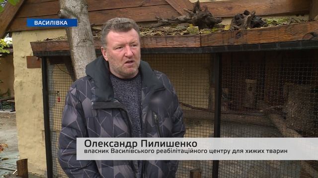 Неочікуване поповнення: у Василівському центрі для тварин народилися пташенята