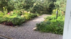 Летние зарисовки. Август