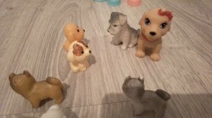 Игры с собачками.