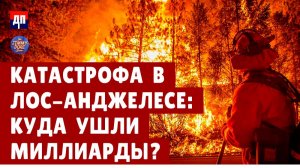 Катастрофа в Лос-Анджелесе: куда ушли миллиарды? | Джимми Дор