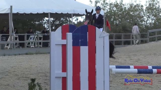 011S Andrea Baxter on Laguna Seca CCI3* Short Show Jumping Woodside October 2021 смотреть онлайн