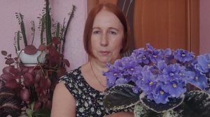 "Что с моими фиалками? Может ожог от лампы?"
