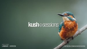 #283 KushSessions (Liquid Drum & Bass Mix)