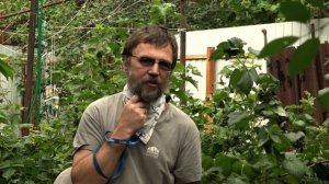 Денис и Юля Смоляковы: жизнь после удаления гортани