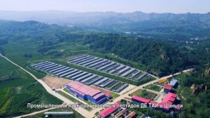 Китайская компания ДЕ ТАЙ выходит на российский рынок в 2024 году