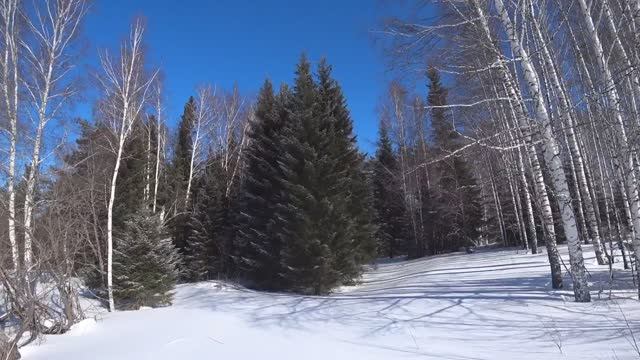 На снегоходе, окрестности села Чудиново смотреть онлайн