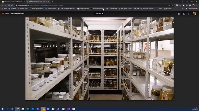 Discussion Forum | Collection Storage & Organisation