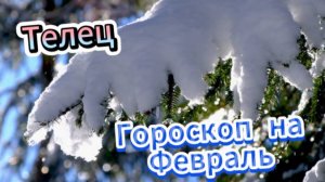 ТЕЛЕЦ! Гороскоп на февраль 2025 года!