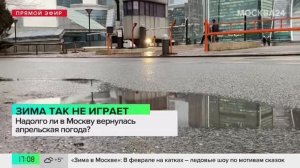 27 января в Москве зафиксировали 5 градусов тепла