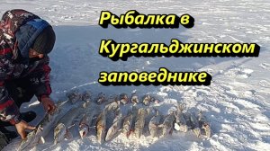 Рыбалка в Кургальджинском заповеднике