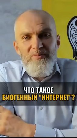 Что такое биогенный "интернет" ?