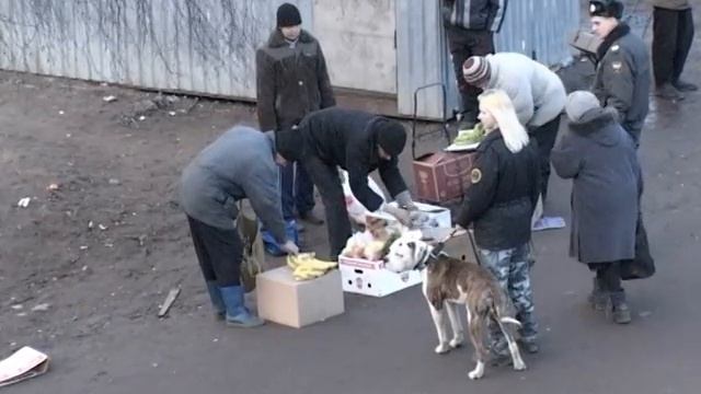Работа МО Пискаревка по охране общественного порядка