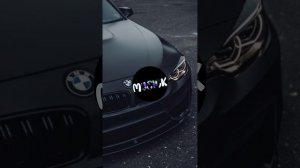 MUSICK–Принесите мясо тут голодные собаки ♣️😈