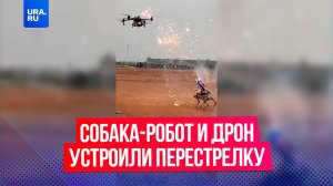 Собака-робот и беспилотник устроили настоящую битву при помощи фейерверков в Китае