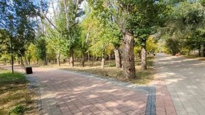 Пусть твоя мама продаст свою дачу, а не мою квартиру. Свекровь хочет купить новый дом