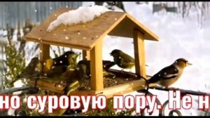 ОБЯЗАТЕЛЬНО! Чтоб весною птичек слушать, дай зимою им покушать.