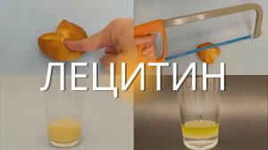 Лецитин. Какой выбрать? Инструкция по применению 1%.
