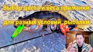 Выбор веса приманки для разных условий рыбалки. Выбор цвета приманки для ловли судака.
