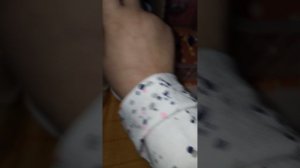 обзор игрушек собачек