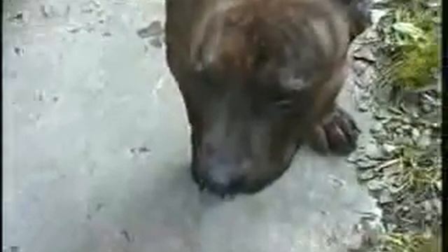 Motya in Valentinovka 1995 смотреть онлайн