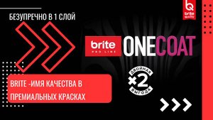 Brite Professional One coat