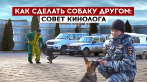 Как сделать собаку другом: совет кинолога