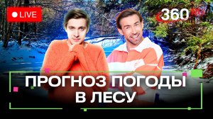 Прогноз погоды на 360: отправляемся в лес! Стрим