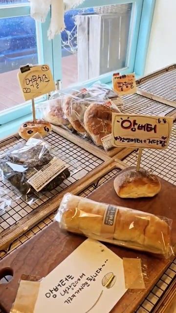 제주 천연발효빵 치아바타 전문점 동명동락을 소개합니다 #제주여행 #제주카페 #제주맛집 #제주서쪽여행 #쇼츠 #shorts #제주 #동명동락 #치아바타