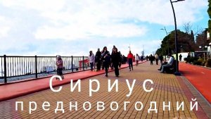 СИРИУС/ИМЕРЕТИНСКАЯ набережная перед новым годом/НЕ ОЖИДАЛА такого!