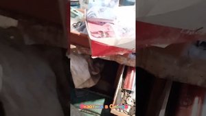 Как быстро вставить шип в резину. #дошиповщик #дошиповкарезины #ремшипы #каквставитьшипы